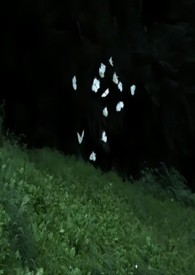 εȻ�����ùǿƣ�