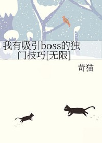 ��������boss�Ķ��ż���[����]