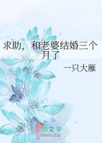 �����������Ž����������