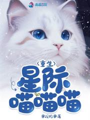 �����򵼣������������ڱ�������